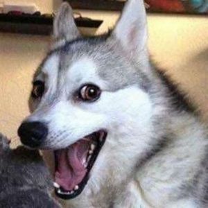 Meet your Posher, Cade